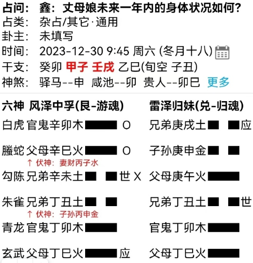 image 4.png王虎应六爻丈母娘未来一年的身体状况如何